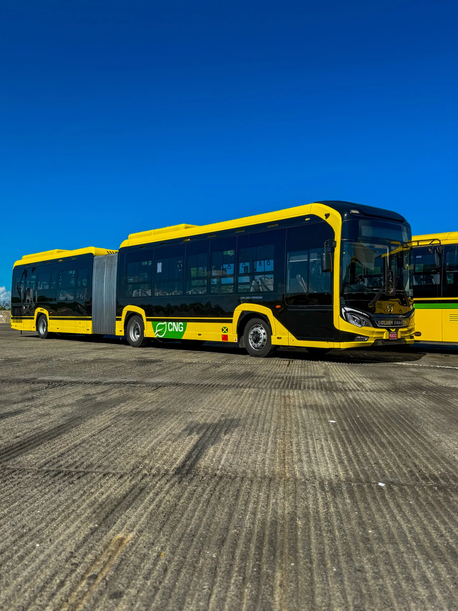 Golden Dragon Nav12 Articulated Bus